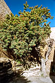 Rabat - la Kasbah degli Oudaia. 